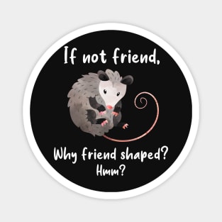 Opossum Friend Shaped Magnet